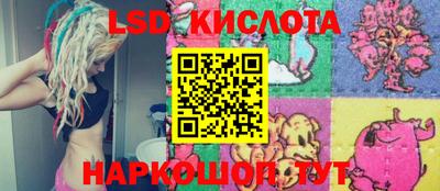 прущие грибы Моздок