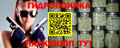 прущие грибы Моздок