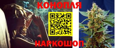 прущие грибы Моздок