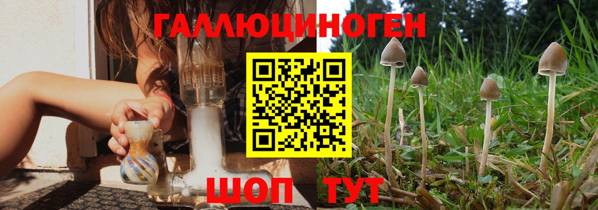 Южноуральск  Псилоцибиновые грибы GOLDEN TEACHER  Вход с VPN 
